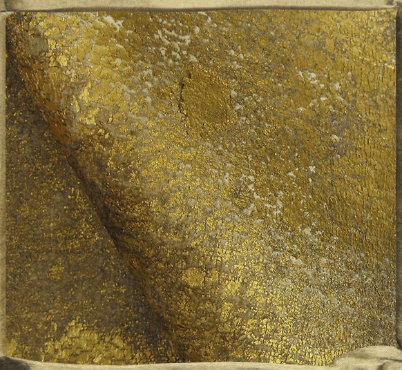 Gold PATINA on Almond 03 Delacroix velvet.