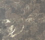 FONTAINEBLEAU