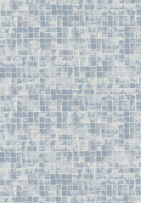 CANVAS MERIT, PRINTED COTTON / CANVAS