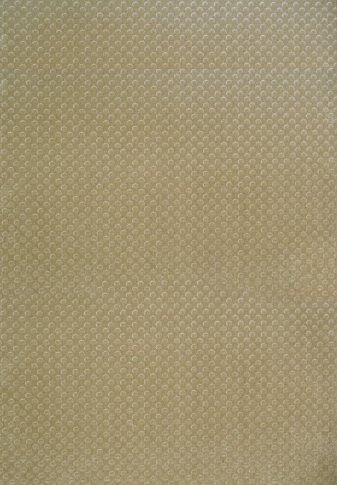 TIGEREYE 3004, JACQUARD VELVET