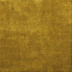 22 Lagartija