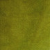 38 Green Tea